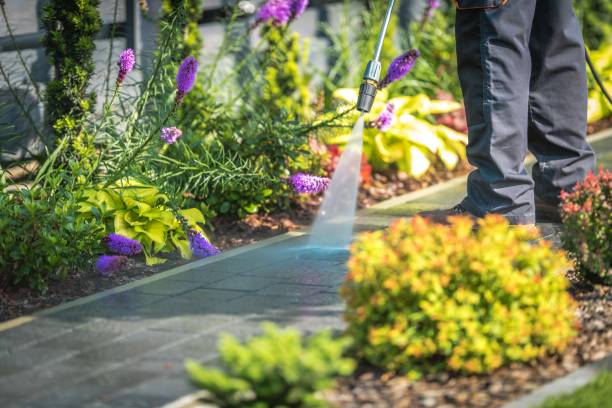 Best Commercial Pressure Washing in Cherry Grove, OH