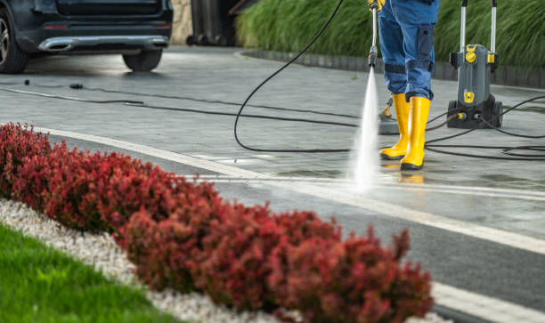 Best Window and Screen Pressure Cleaning in Cherry Grove, OH